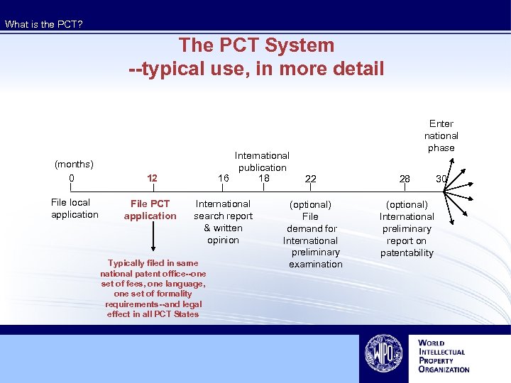 What is the PCT? The PCT System --typical use, in more detail (months) 0