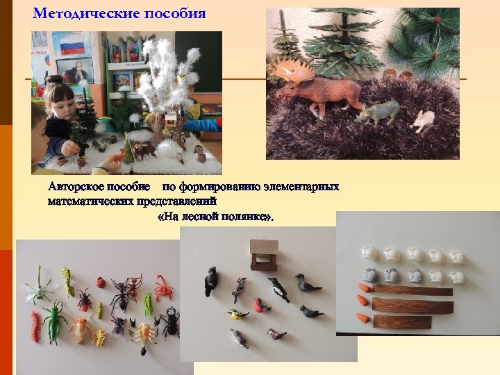 Методические пособия Авторское пособие по формированию элементарных математических представлений «На лесной полянке» . 