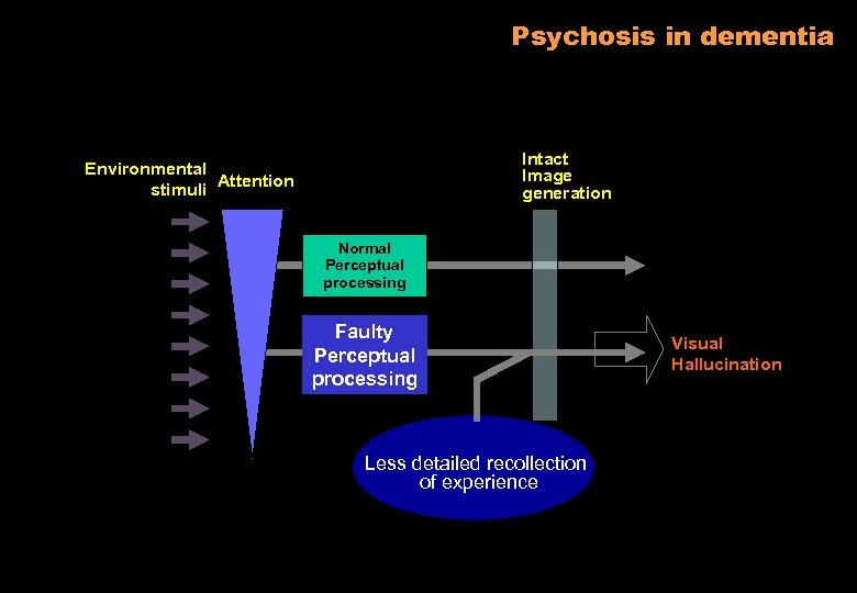 Psychosis in dementia Intact Image generation Environmental stimuli Attention Normal Perceptual processing Faulty Perceptual