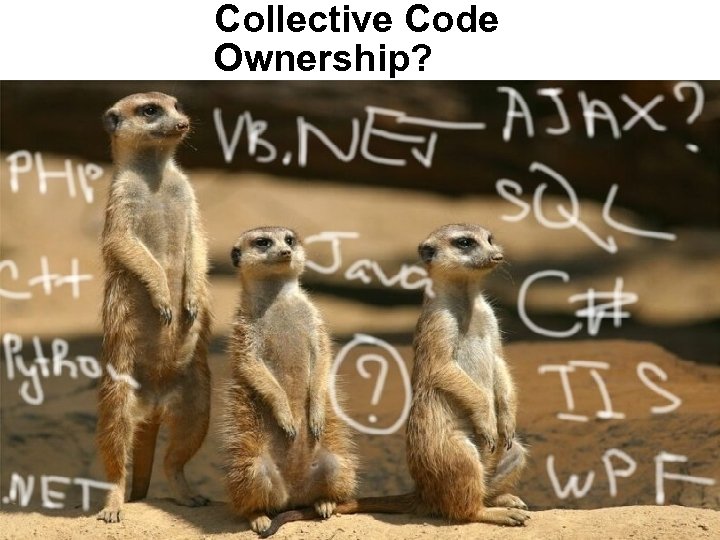 Collective Code Ownership? 