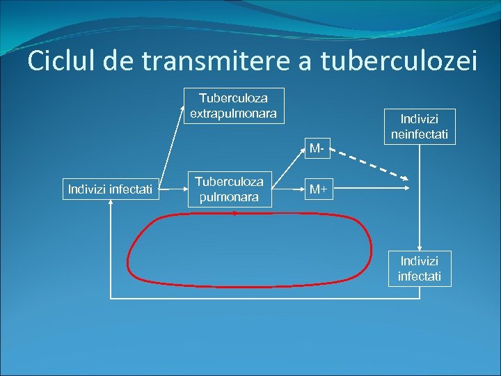 Ciclul de transmitere a tuberculozei Tuberculoza extrapulmonara Indivizi neinfectati M- Indivizi infectati Tuberculoza pulmonara