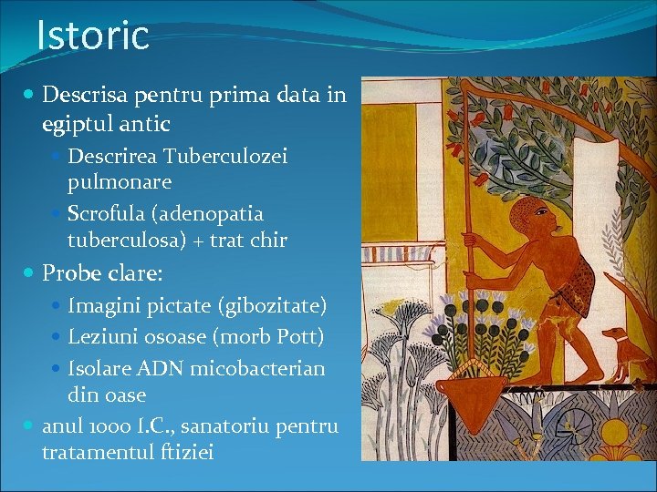 Istoric Descrisa pentru prima data in egiptul antic Descrirea Tuberculozei pulmonare Scrofula (adenopatia tuberculosa)