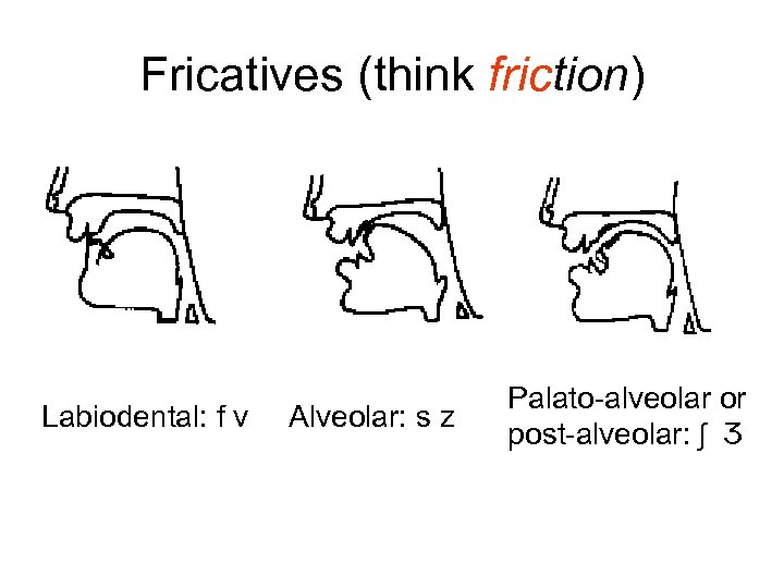 Fricatives (think friction) Labiodental: f v Alveolar: s z Palato-alveolar or post-alveolar: ʃ Ʒ