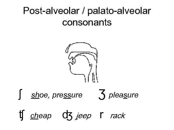 Post-alveolar / palato-alveolar consonants ʃ shoe, pressure ʧ cheap Ʒ pleasure ʤ jeep r