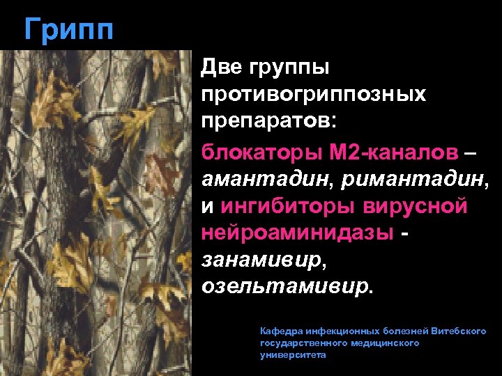 Грипп Две группы противогриппозных препаратов: блокаторы М 2 -каналов амантадин, римантадин, и ингибиторы вирусной