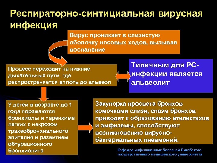 Респираторно-синтициальная вирусная инфекция Вирус проникает в слизистую оболочку носовых ходов, вызывая воспаление Процесс переходит