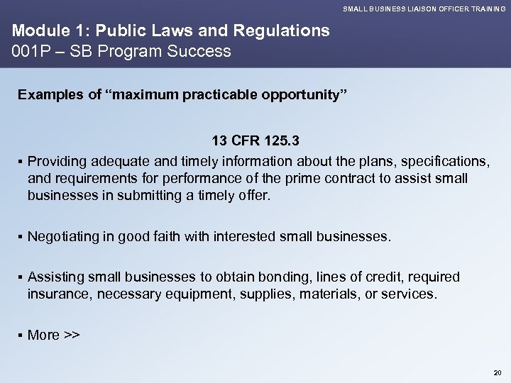 SMALL BUSINESS LIAISON OFFICER TRAINING Module 1: Public Laws and Regulations 001 P –