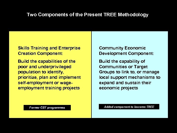 Two Components of the Present TREE Methodology Skills Training and Enterprise Creation Component: Community