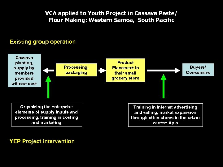 VCA applied to Youth Project in Cassava Paste/ Flour Making: Western Samoa, South Pacific