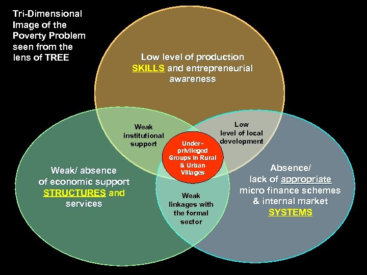 Tri-Dimensional Image of the Poverty Problem seen from the lens of TREE Low level