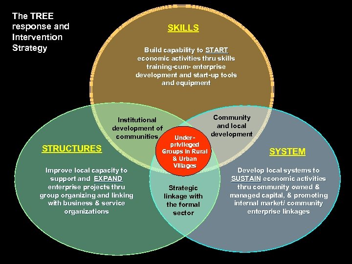The TREE response and Intervention Strategy SKILLS Build capability to START economic activities thru