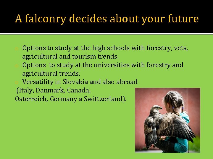 A falconry decides about your future Options to study at the high schools with