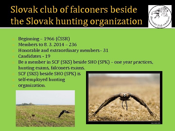 Slovak club of falconers beside the Slovak hunting organization Beginning – 1966 (ČSSR) Members