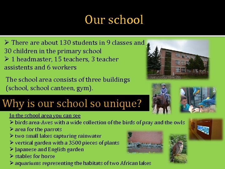 Our school Ø There about 130 students in 9 classes and 30 children in