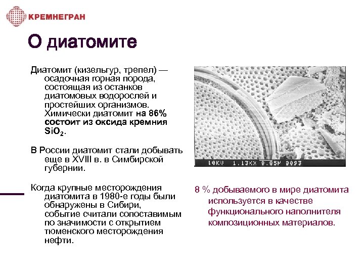 О диатомите Диатомит (кизельгур, трепел) — осадочная горная порода, состоящая из останков диатомовых водорослей