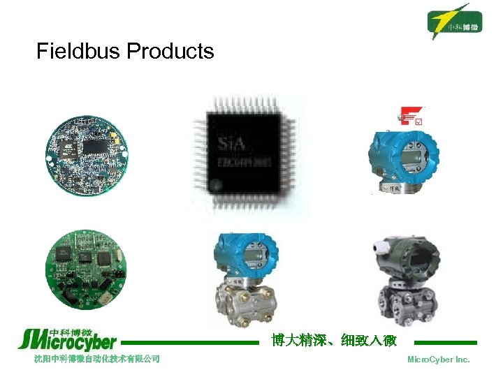 Fieldbus Products 博大精深、细致入微 沈阳中科博微自动化技术有限公司 Micro. Cyber Inc. 