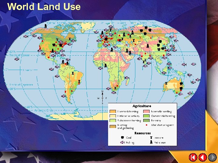 World Land Use 