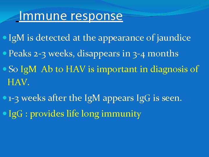 Immune response Ig. M is detected at the appearance of jaundice Peaks 2 -3