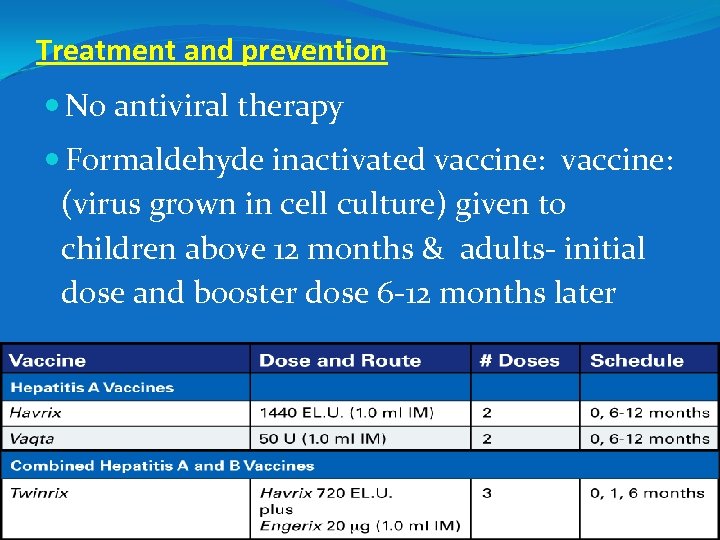 Treatment and prevention No antiviral therapy Formaldehyde inactivated vaccine: (virus grown in cell culture)