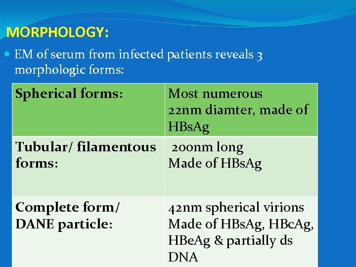 MORPHOLOGY: EM of serum from infected patients reveals 3 morphologic forms: Spherical forms: Most