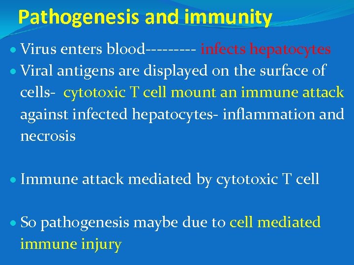 Pathogenesis and immunity Virus enters blood----- infects hepatocytes Viral antigens are displayed on the