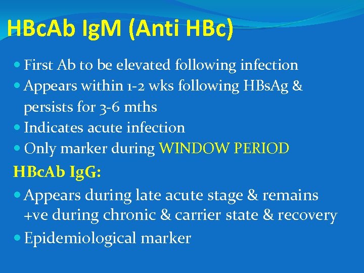 HBc. Ab Ig. M (Anti HBc) First Ab to be elevated following infection Appears