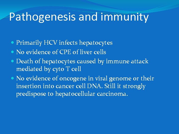 Pathogenesis and immunity Primarily HCV infects hepatocytes No evidence of CPE of liver cells