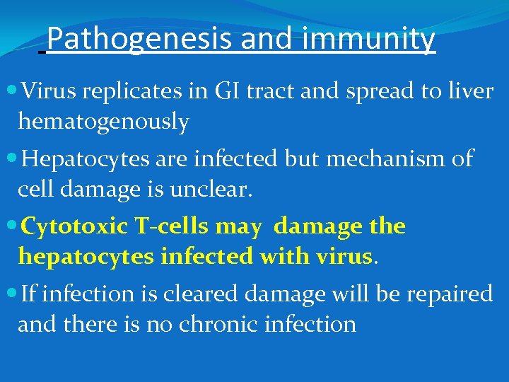 Pathogenesis and immunity Virus replicates in GI tract and spread to liver hematogenously Hepatocytes