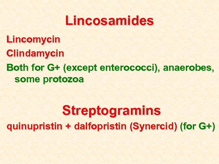 Lincosamides Lincomycin Clindamycin Both for G+ (except enterococci), anaerobes, some protozoa Streptogramins quinupristin +