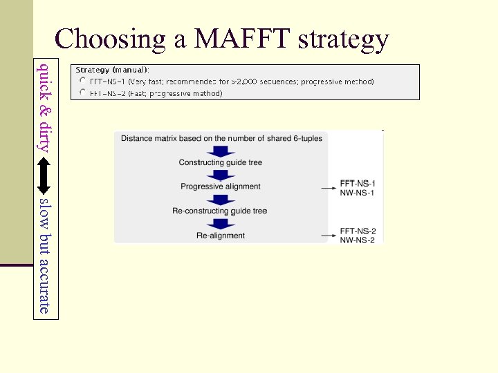 Choosing a MAFFT strategy quick & dirty slow but accurate 