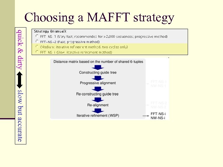 Choosing a MAFFT strategy quick & dirty slow but accurate 