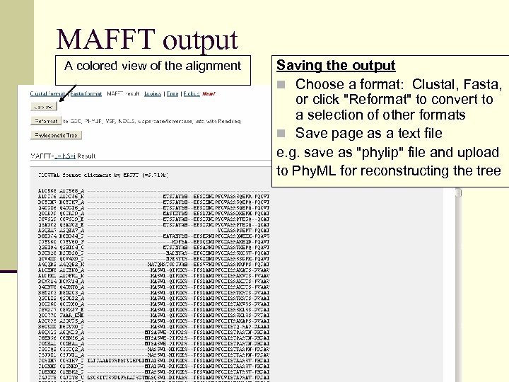 MAFFT output A colored view of the alignment Saving the output n Choose a