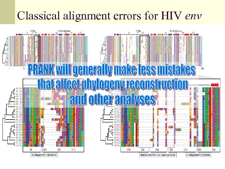 Classical alignment errors for HIV env 