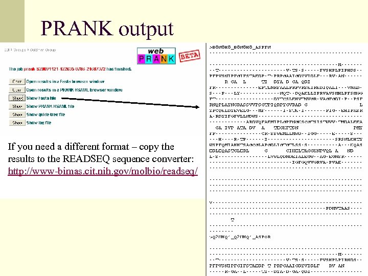 PRANK output If you need a different format – copy the results to the