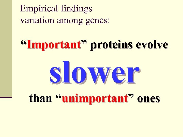 Empirical findings variation among genes: “Important” proteins evolve slower than “unimportant” ones unimportant 