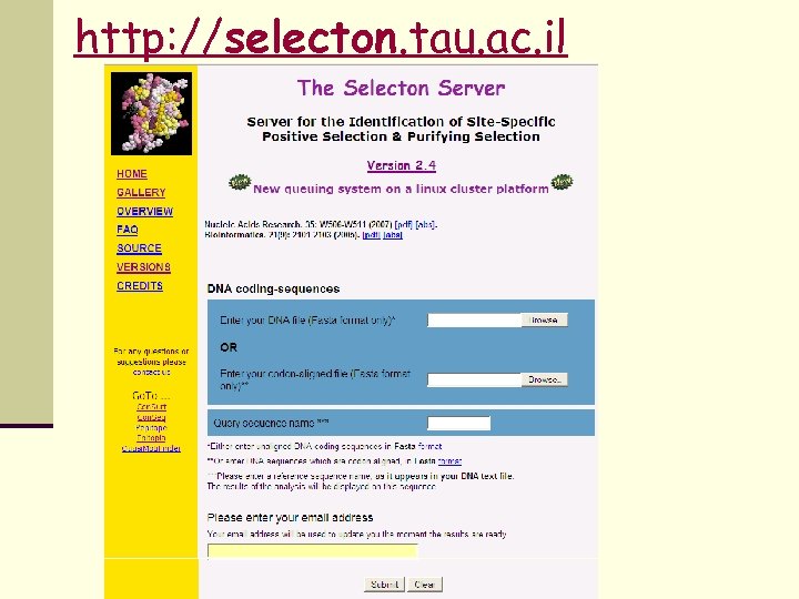 http: //selecton. tau. ac. il 