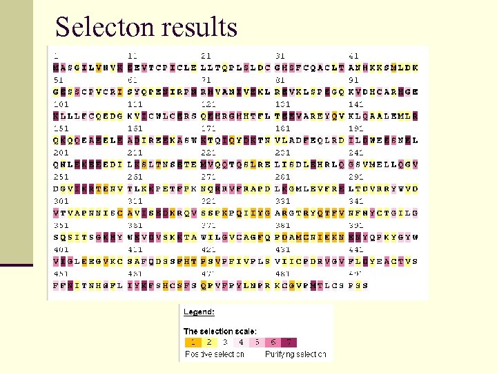 Selecton results 