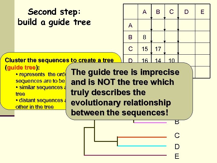 Second step: build a guide tree A B D A B 8 C Cluster