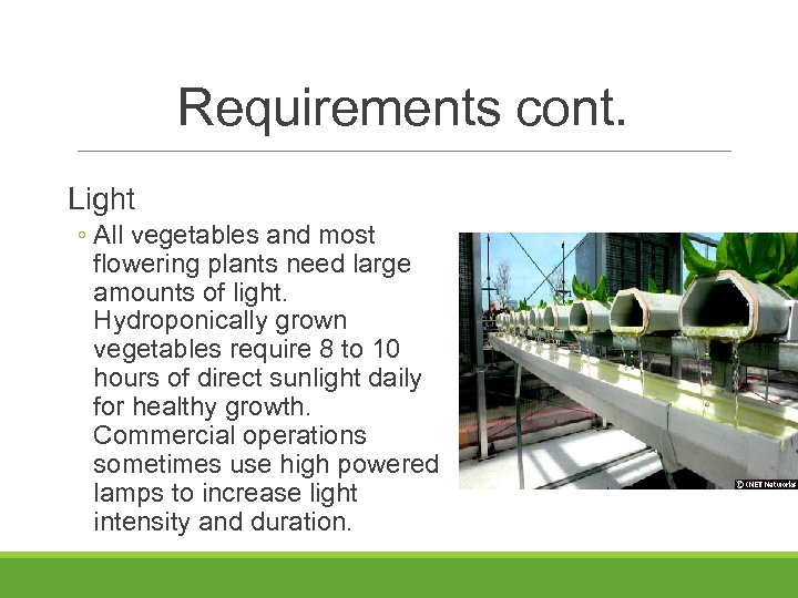 Requirements cont. Light ◦ All vegetables and most flowering plants need large amounts of