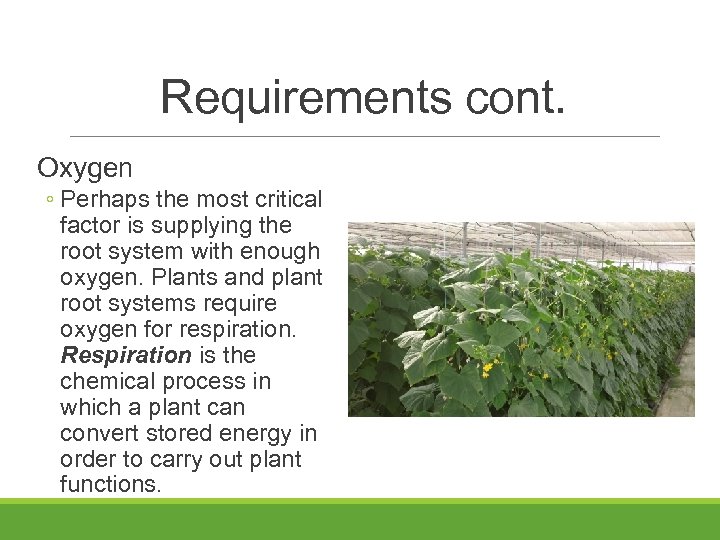 Requirements cont. Oxygen ◦ Perhaps the most critical factor is supplying the root system