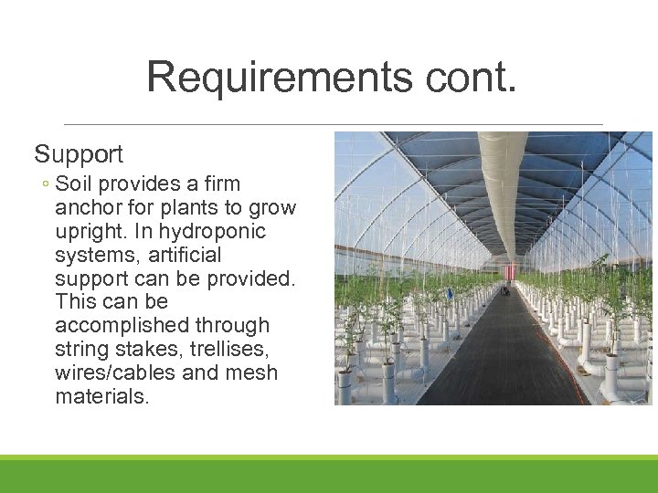 Requirements cont. Support ◦ Soil provides a firm anchor for plants to grow upright.