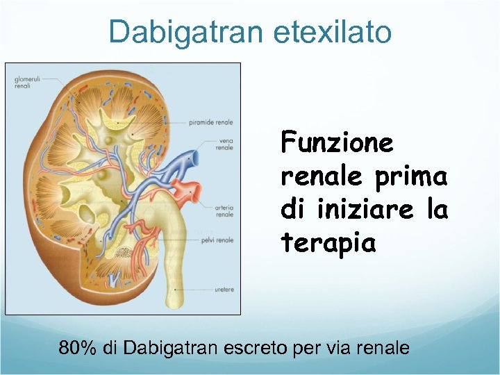 Dabigatran etexilato Funzione renale prima di iniziare la terapia 80% di Dabigatran escreto per