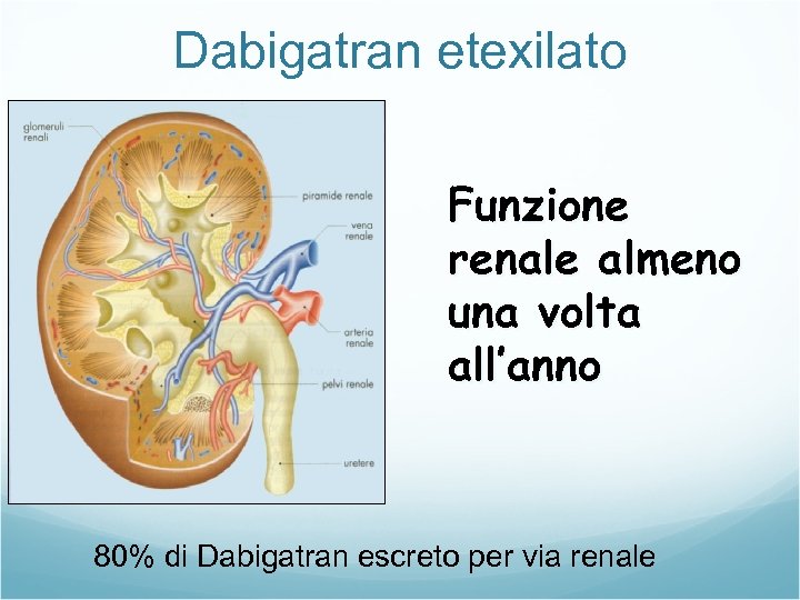 Dabigatran etexilato Funzione renale almeno una volta all’anno 80% di Dabigatran escreto per via