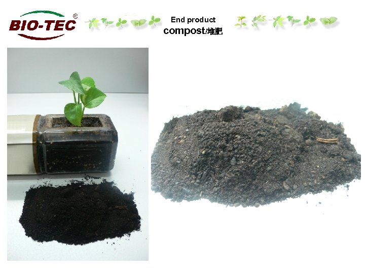 End product compost/堆肥 