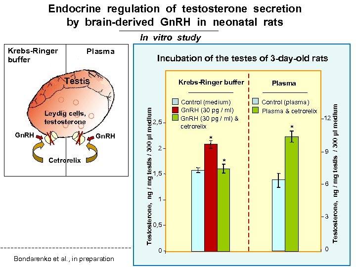 Endocrine regulation of testosterone secretion by brain-derived Gn. RH in neonatal rats In vitro