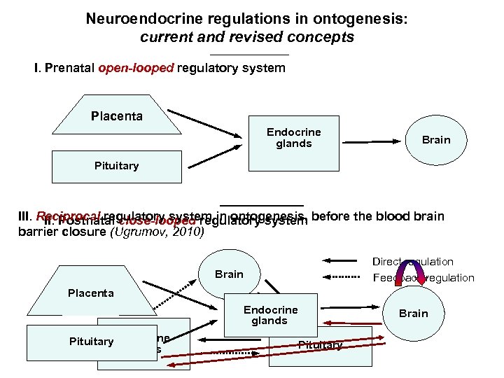Neuroendocrine regulations in ontogenesis: current and revised concepts I. Prenatal open-looped regulatory system Placenta