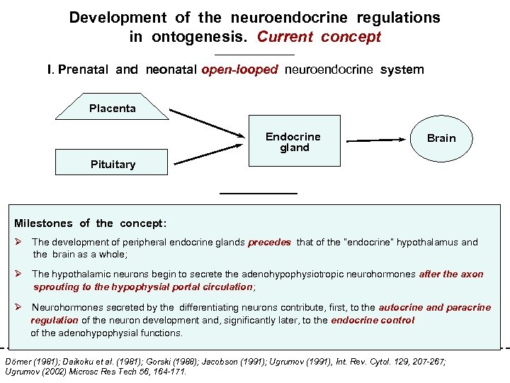 Development of the neuroendocrine regulations in ontogenesis. Current concept I. Prenatal and neonatal open-looped