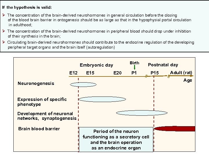 2010. 35, 837 -850. Neurochem. Res. 2010. 35, 837 -850. If the hypothesis is