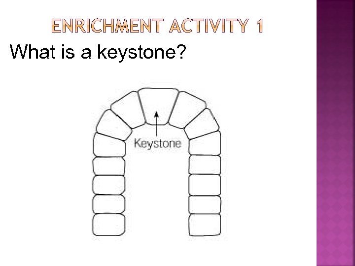 What is a keystone? 