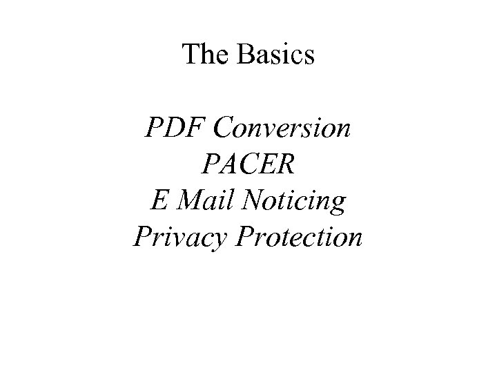 The Basics PDF Conversion PACER E Mail Noticing Privacy Protection 